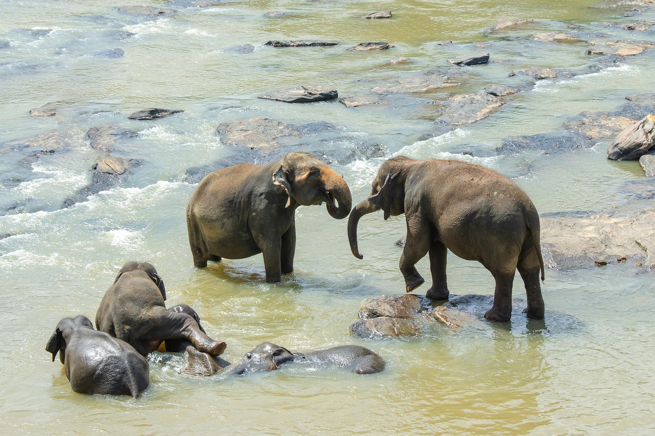 Sri Lanka Adventure