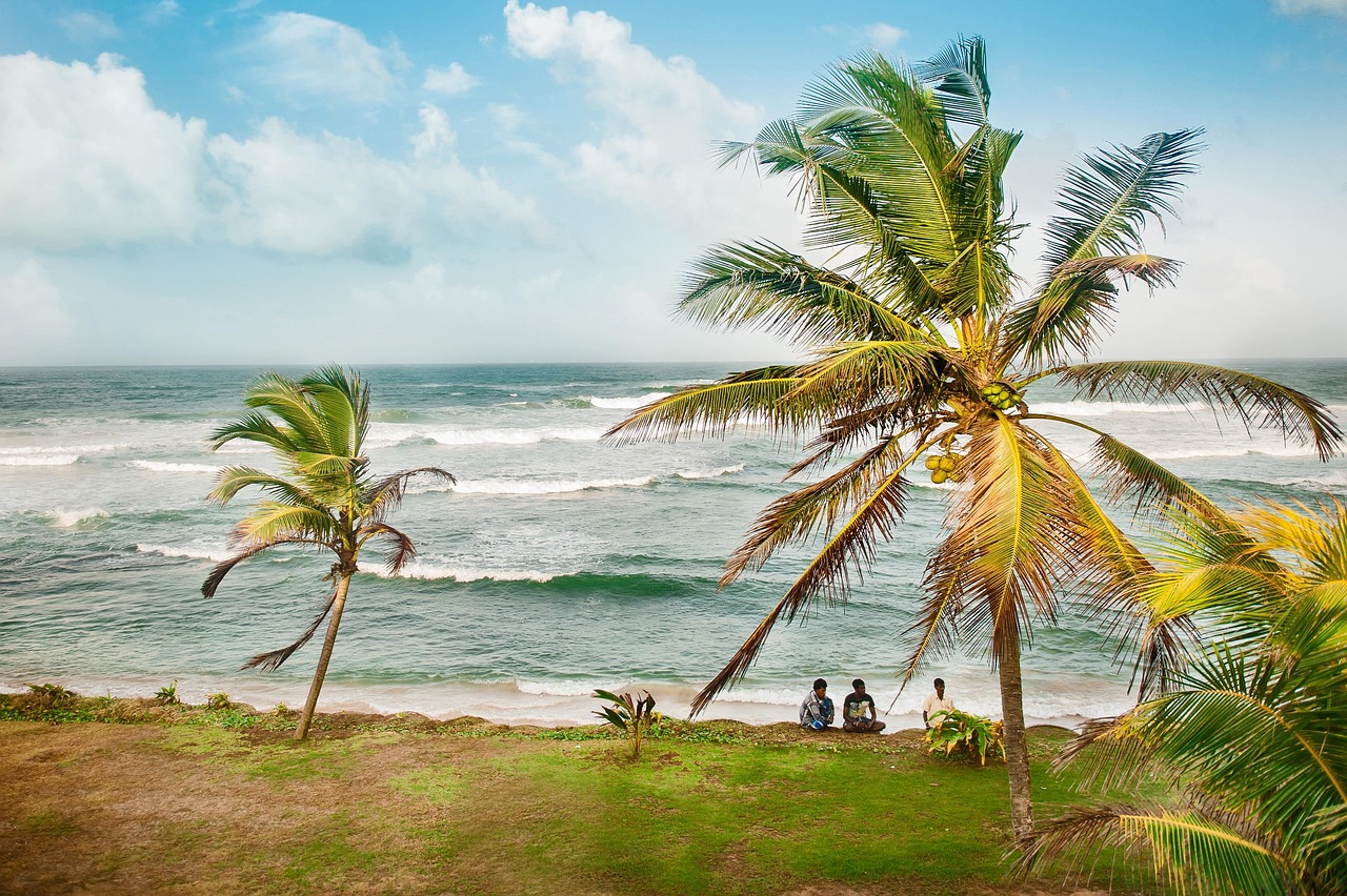 Tropical Paradise