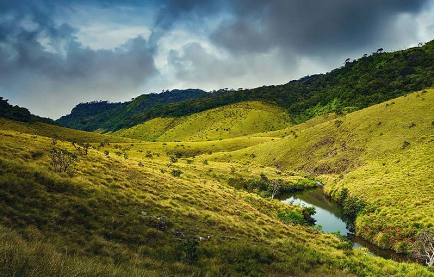 Horton Plains